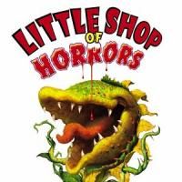 Teens Perform LITTLE SHOP OF HORRORS 7/24-8/1 At The Theatre Project Video